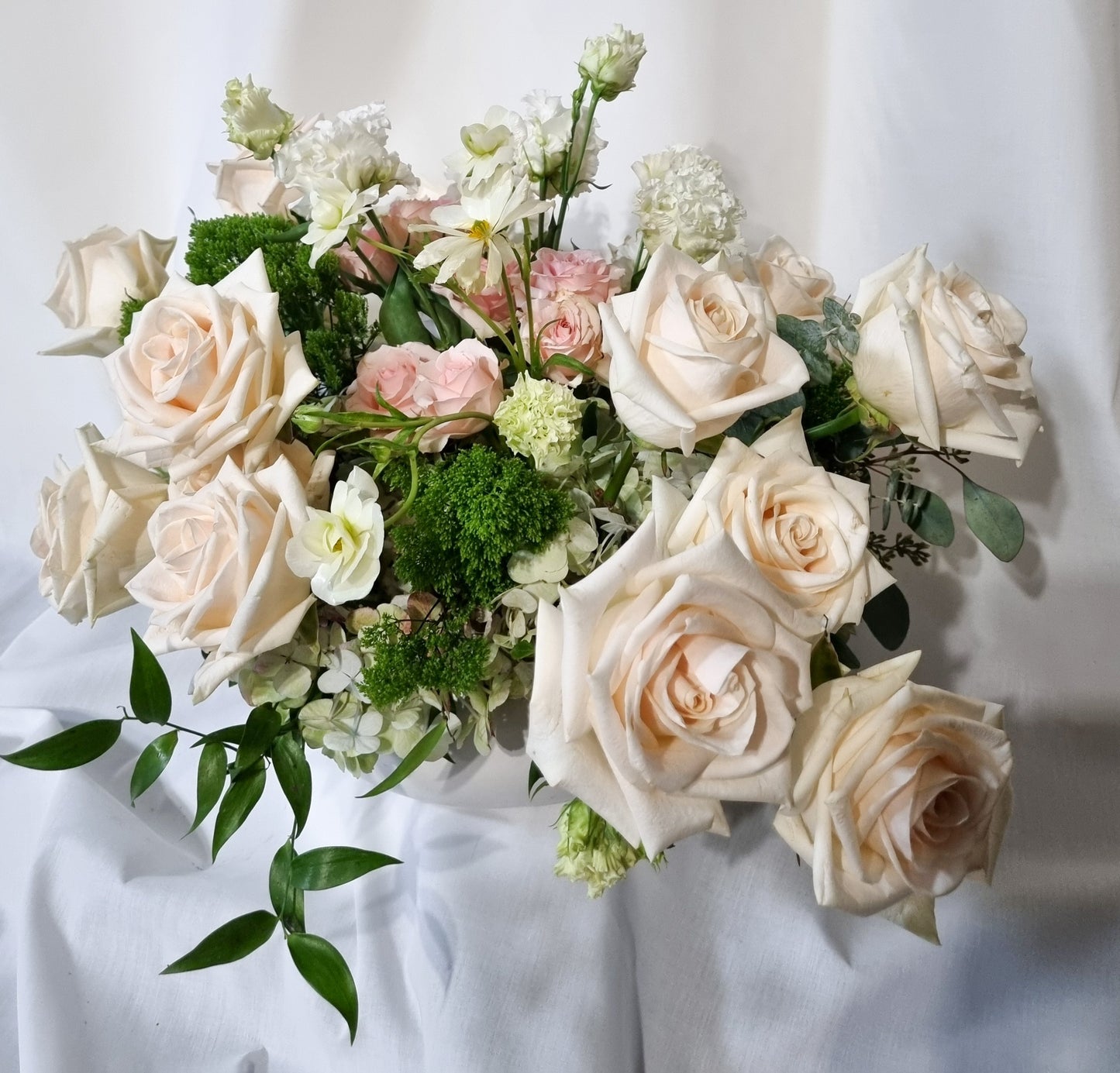 ✨Timeless Elegance