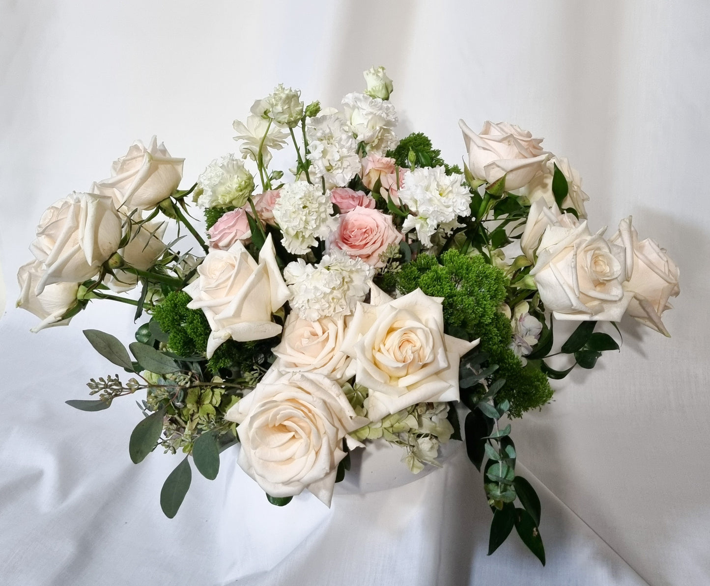 ✨Timeless Elegance