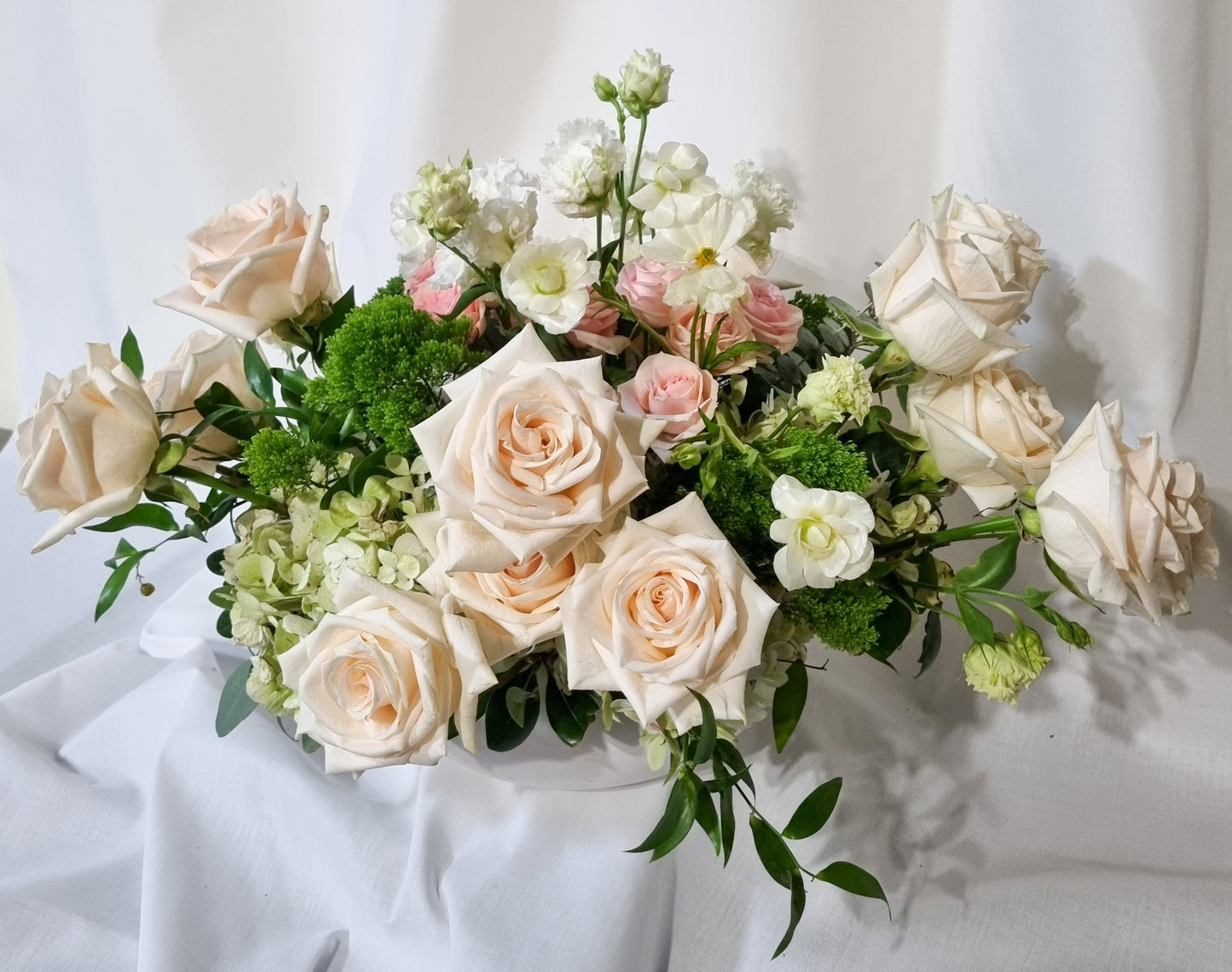 ✨Timeless Elegance