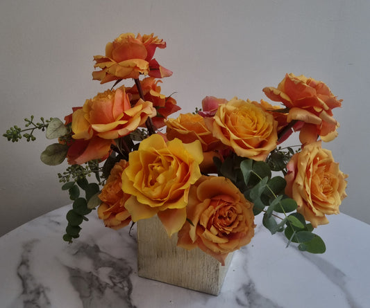 Golden Sunset Roses