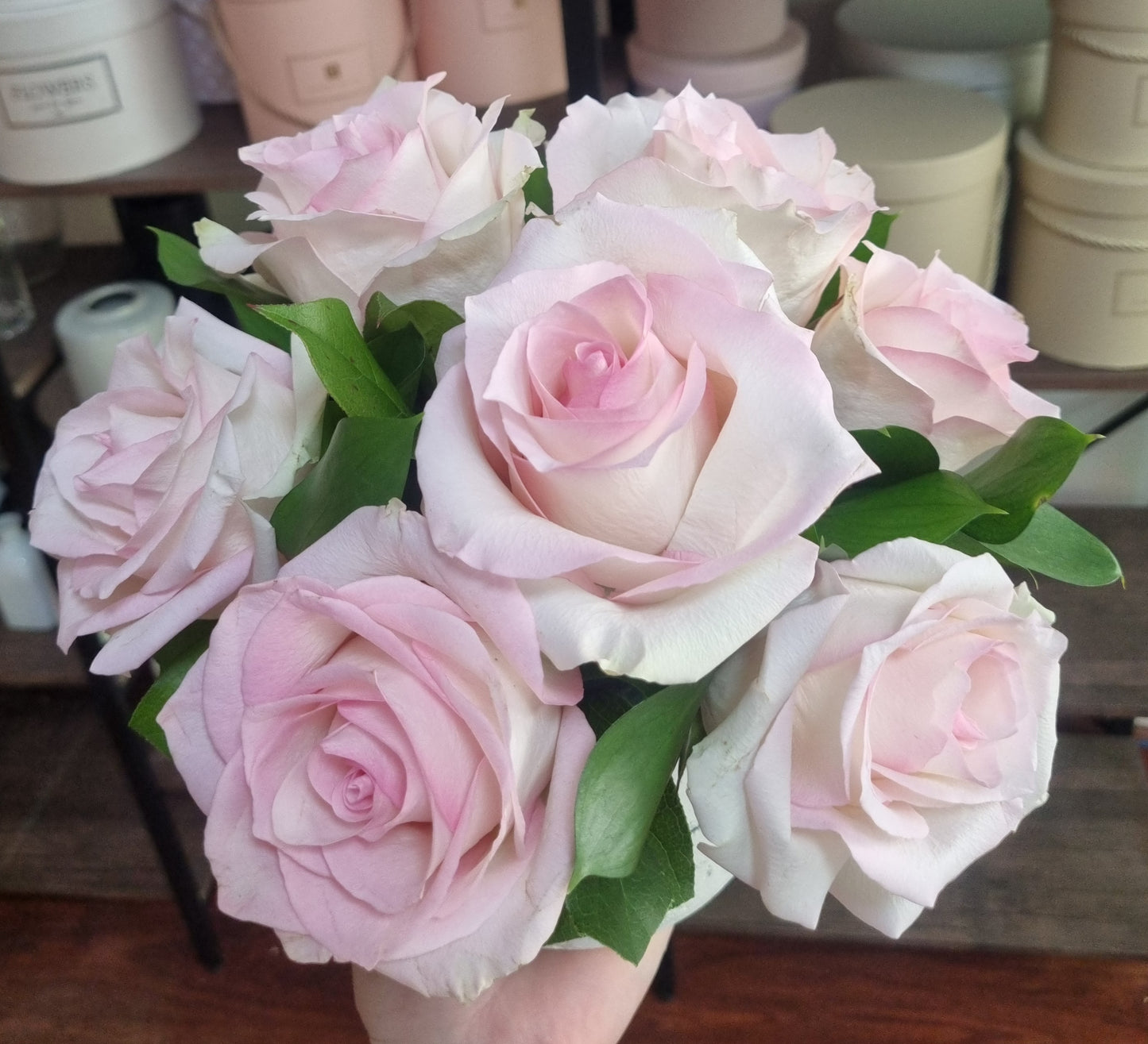 Soft Bloom Edit