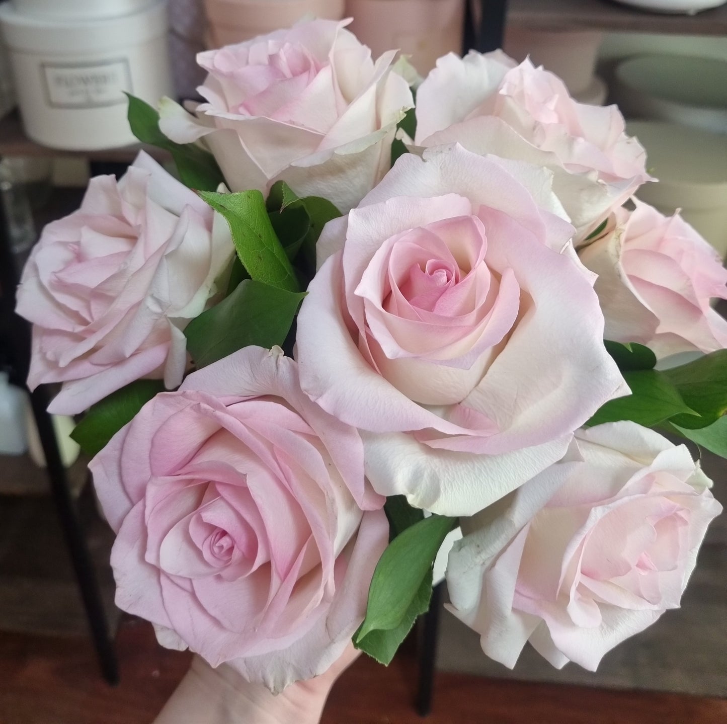 Soft Bloom Edit