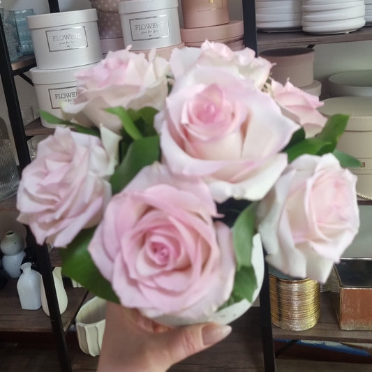 Soft Bloom Edit